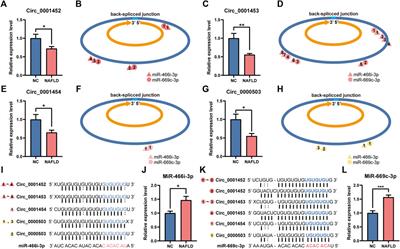 Profile analysis and functional modeling identify circular RNAs in nonalcoholic fatty liver disease as regulators of hepatic lipid metabolism